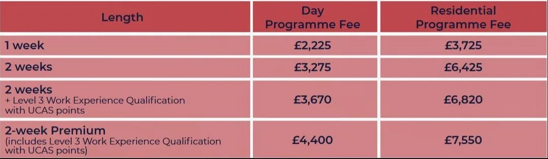 Program fees InvestIn Career focus summer program in London for aged 15 to 18